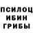 Псилоцибиновые грибы мухоморы Sofy Petrova