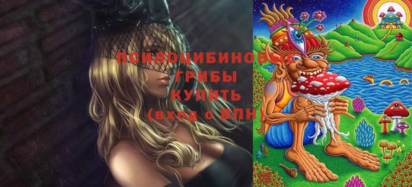 прущая мука Арсеньев